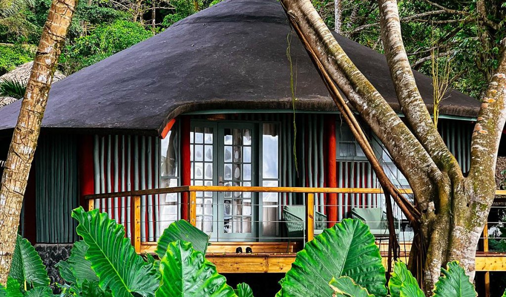 A bungalow surrounded by lush greenery at Bom Bom Beach Resort.
