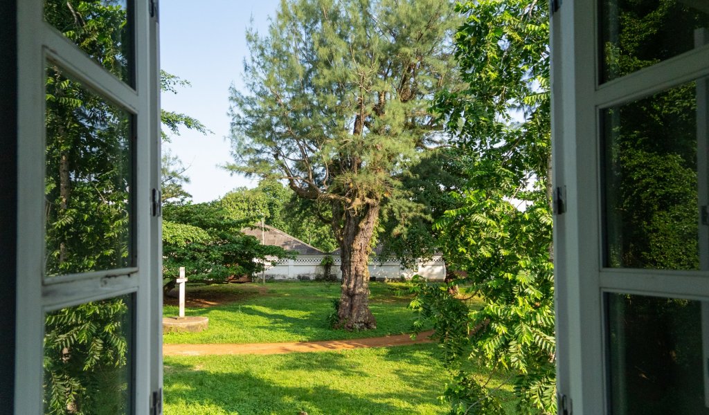 View of a lush green garden with trees from an open window at Roça Sundy