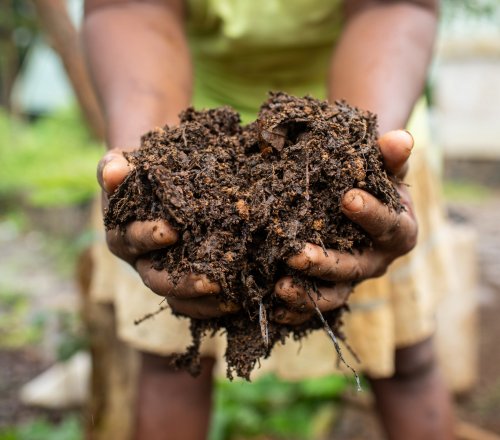 Two hands holding fresh soil on Príncipe Island.