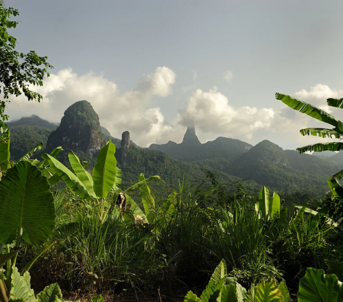 Vista dos picos vulcânicos do Príncipe a partir de um trilho na selva.