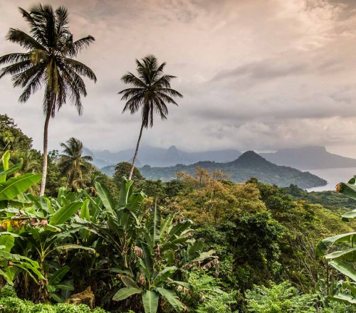 Vista sobre a Ilha de São Tomé, com vegetação de selva densa, colinas vulcânicas e o mar ao fundo.
